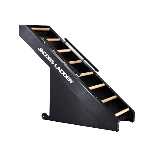 StairMaster Jacobs Ladder