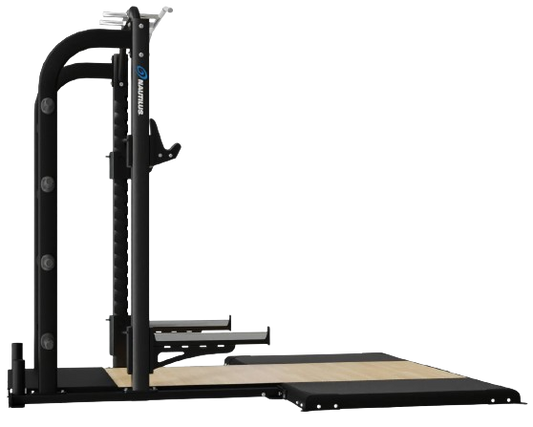 Nautilus Hd Pull-up Bridge